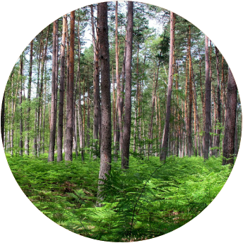 Greencan, reconciling environment protection with performance